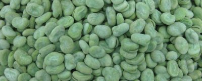 ​蚕豆可以冷冻保存吗有毒吗 蚕豆能冷冻保存吗