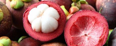 ​山竹果肉变透明能吃吗 山竹果肉透明还能吃吗