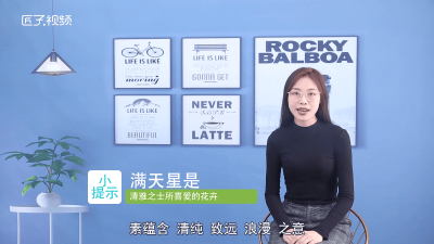 ​满天星冬季会死吗「满天星冬天会死吗?」