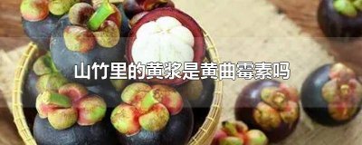 ​不小心吃了山竹里面的黄浆会怎么样 不小心吃了山竹里面的黄浆有事吗