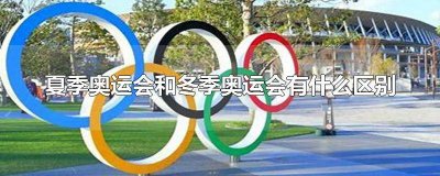 ​冬季奥运会和夏季奥运会的区别跳水 冬季奥运会和夏季奥运会的区别蚂蚁