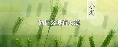 ​24节气有小满为什么没有大满 为什么没有大满