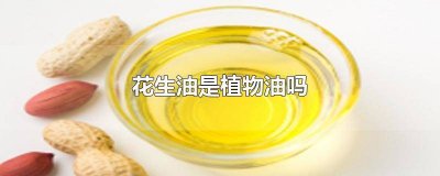 ​食用植物油和花生油有什么区别呢 植物油和花生油