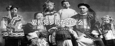 ​爱新觉罗现在姓什么后裔在什么位置 爱新觉罗现在还有这个姓吗