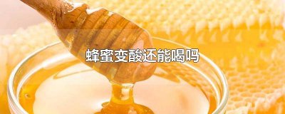 ​蜂蜜已经变成酸的了还能吃吗 蜂蜜变酸还可以喝吗