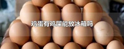 ​鸡蛋外面有鸡屎怎么放冰箱保存 鸡蛋外面有鸡屎怎么放冰箱冷冻