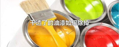 ​衣服上干透了的油漆如何除掉 玻璃干透了的油漆如何除掉