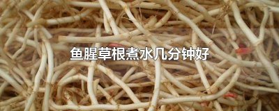 ​鱼腥草煮水煮几分钟 鱼腥草根煮水喝的方法