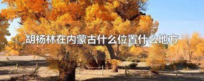 ​胡杨林在内蒙古什么位置什么地方