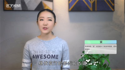 ​卯是什么生肖 一日之计在于寅是什么生肖