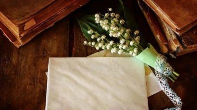 ​爆笑小说有哪些推荐 好看的爆笑经典小说完本排行