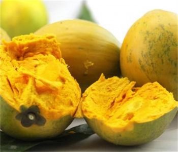​哪些人不适合吃蛋黄果 蛋黄果哪些人不能吃