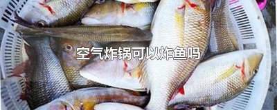 ​食材_用空气炸锅炸鱼怎样做窍门 空气炸锅可以炸鱼么