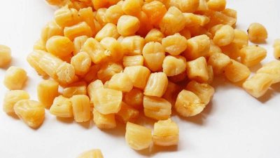 ​瑶柱是什么东西做的 瑶柱是什么贝壳的肉