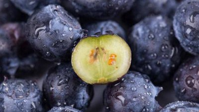 ​常吃蓝莓对身体有好处吗 蓝莓吃多了对身体有坏处吗