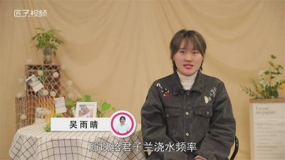 ​君子兰多久浇一次水夏天开花 君子兰多久浇一次水夏天会死