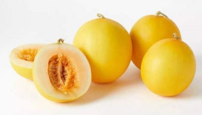 ​沈丘兆丰贡酒价格_沈丘兆丰酒业现状