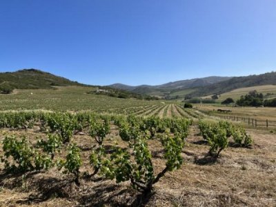 ​加利福尼亚红酒价格(加利福尼亚红酒品牌)