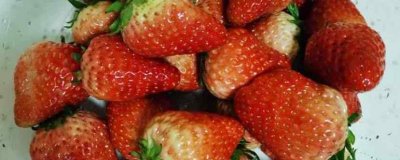 ​草莓的营养价值及营养成分