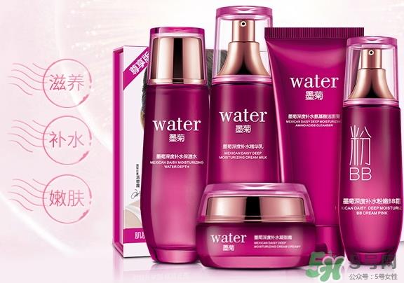 一枝春是什么牌子？一枝春化妆品怎么样