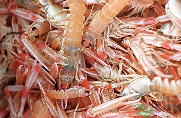 死虾被称脑死亡 死虾吃了会怎么样？