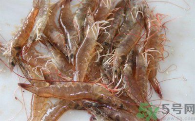 ​死虾被称脑死亡 死虾吃了会怎么样？