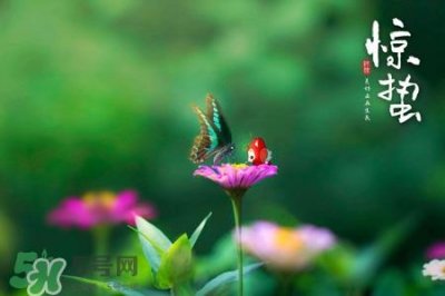 ​惊蛰节气吃什么水果？惊蛰养生吃什么水果好？