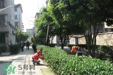 春天养生吃什么粥好？春季养生粥品有哪些？