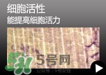 迪奥dior眼部修复精华露 迪奥dior眼部修复精华露价格