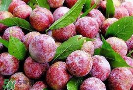 芒种吃什么水果？芒种吃什么水果好？