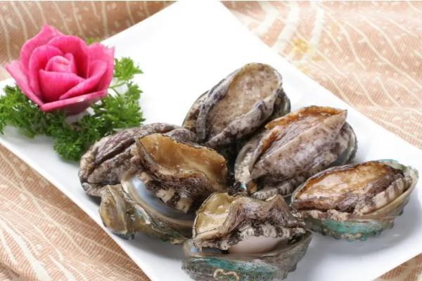 鲍鱼要蒸多少时间才能熟 鲍鱼要焯水吗 鲍鱼要蒸多少时间才能熟 鲍鱼要焯水吗