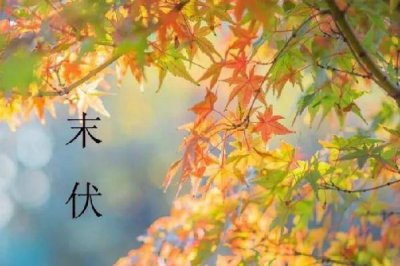 ​末伏后天气还要热多久 末伏是最热的吗