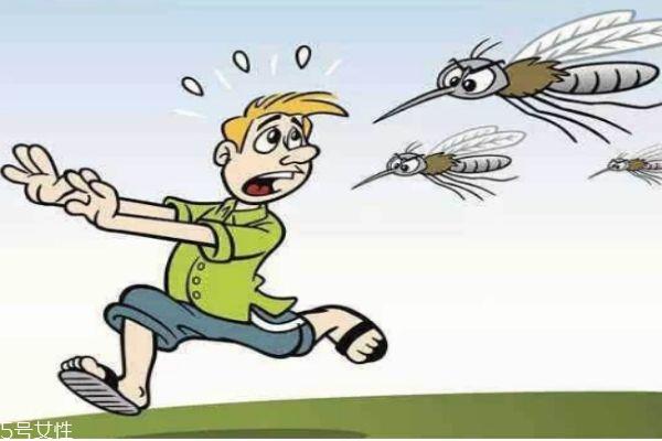 蚊子一般在什么季节比较多呢 蚊子喜欢什么血型的人群呢