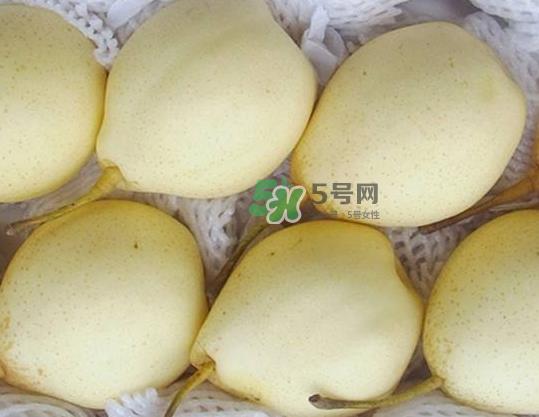 雪花梨是雪梨吗？雪花梨和雪梨的区别