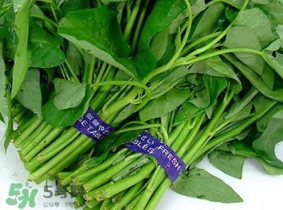 ​通心菜的营养价值_通心菜的功效与作用及食用方法