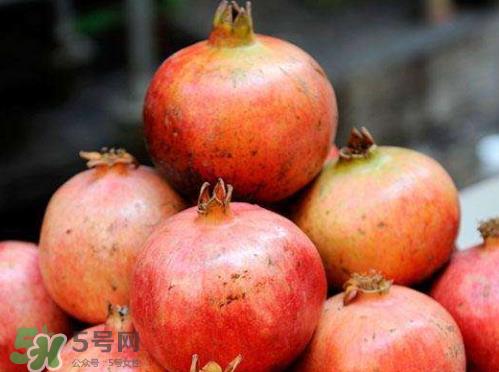 突尼斯软籽石榴营养价值 软籽石榴的功效与作用