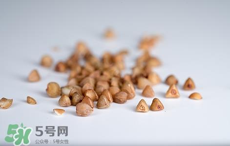 孕妇可以吃荞麦吗?孕妇吃荞麦好吗