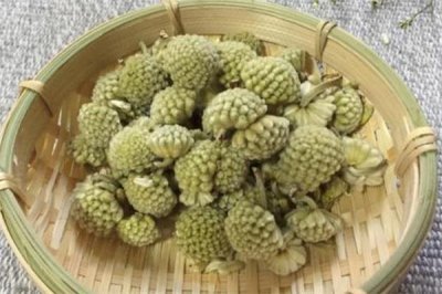 ​绿萝花茶多少钱一斤 绿萝花茶的禁忌