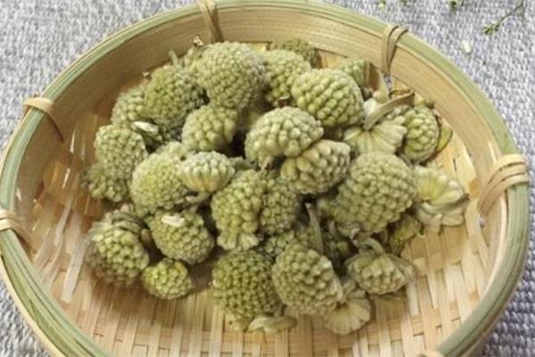 绿萝花茶多少钱一斤 绿萝花茶的禁忌 绿萝花茶多少钱一斤 绿萝花茶的禁忌