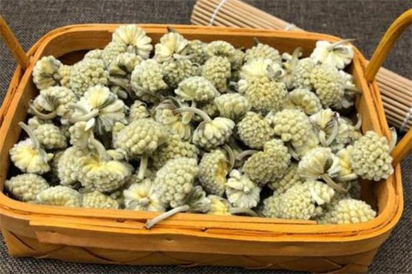 绿萝花茶多少钱一斤 绿萝花茶的禁忌 绿萝花茶多少钱一斤 绿萝花茶的禁忌