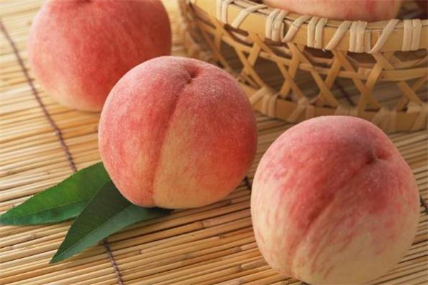 毛桃可以空腹吃吗 毛桃什么时候吃最好 毛桃可以空腹吃吗 毛桃什么时候吃最好