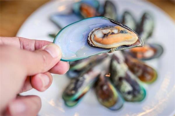 孕妇可以吃青口贝吗 青口贝不能和什么一起吃 孕妇可以吃青口贝吗 青口贝不能和什么一起吃