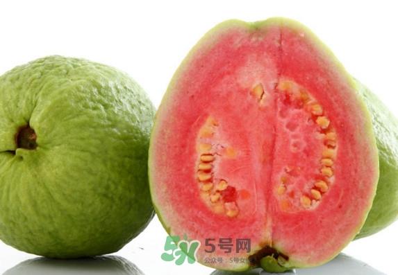 哺乳期能吃芭乐吗?月经期可以吃芭乐吗 哺乳期能吃芭乐吗?月经期可以吃芭乐吗