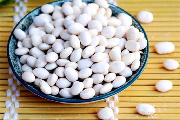 白芸豆可以阻断碳水吗 白芸豆对身体有害吗 白芸豆可以阻断碳水吗 白芸豆对身体有害吗