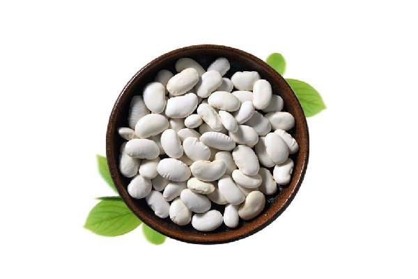 白芸豆可以阻断碳水吗 白芸豆对身体有害吗 白芸豆可以阻断碳水吗 白芸豆对身体有害吗