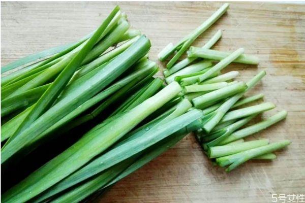 韭菜的生长环境怎么样呢 韭菜主要分布地区是哪里呢