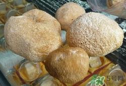 猴头菇养胃吗?猴头菇养胃做法大全