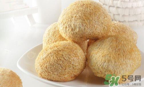 猴头菇养胃吗?猴头菇养胃做法大全