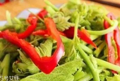 南瓜藤的功效与作用 冬季吃南瓜藤的好处多多