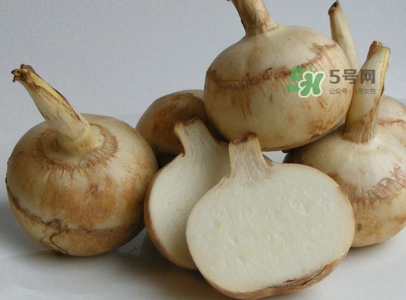 慈姑是什么？慈姑是水生植物吗